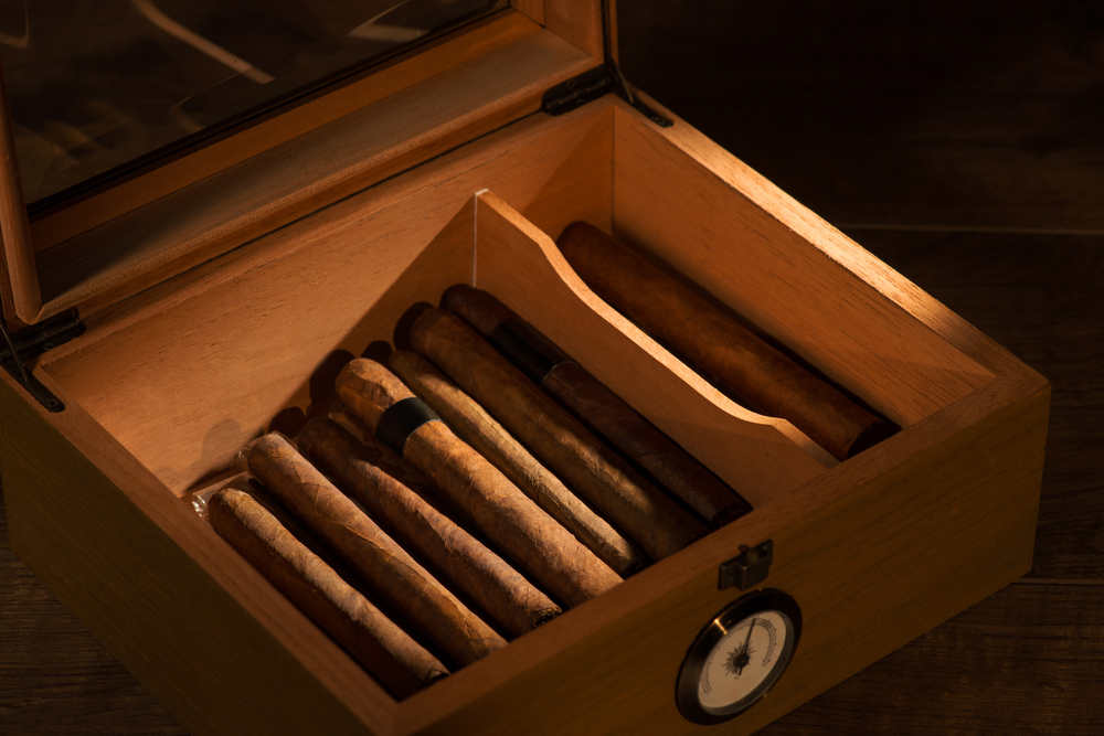 Humidor - Ciggarer